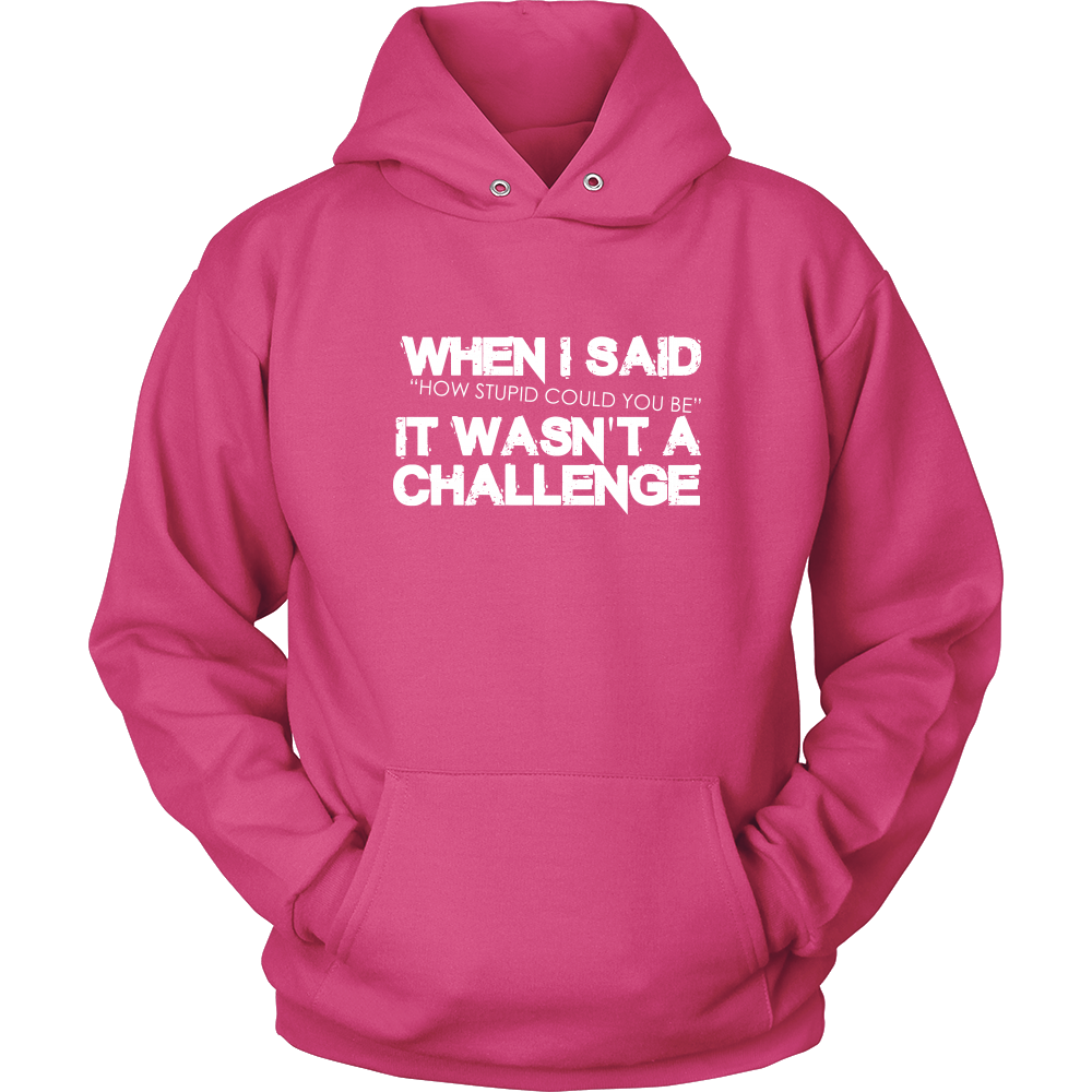 When I Said How Stupid Could You Be - It Wasn't a Challenge