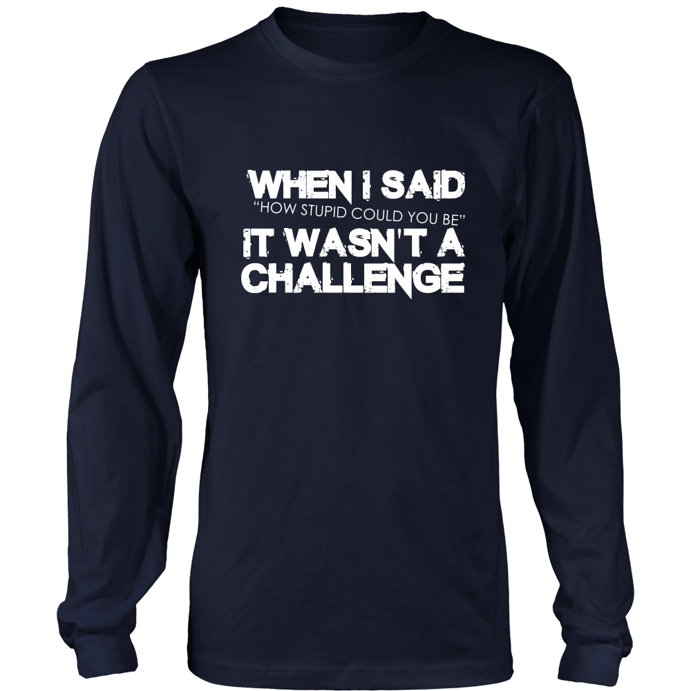 When I Said How Stupid Could You Be - It Wasn't a Challenge