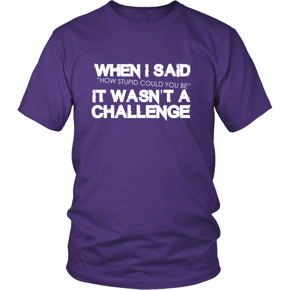 When I Said How Stupid Could You Be - It Wasn't a Challenge