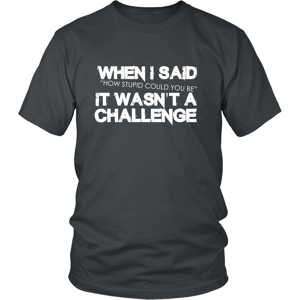 When I Said How Stupid Could You Be - It Wasn't a Challenge