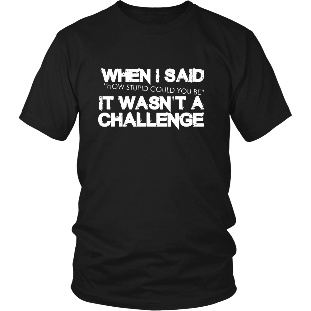 When I Said How Stupid Could You Be - It Wasn't a Challenge