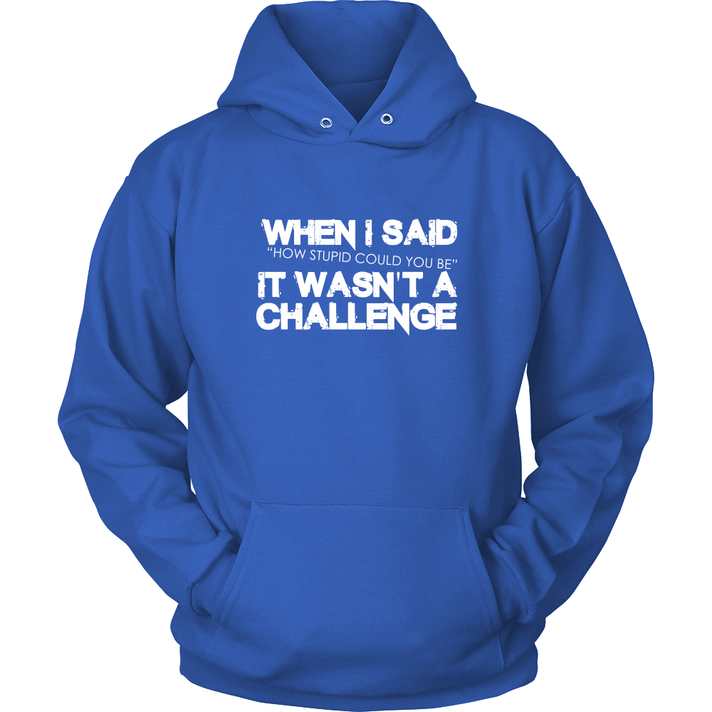 When I Said How Stupid Could You Be - It Wasn't a Challenge