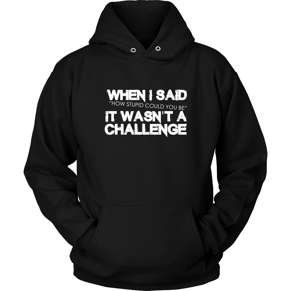 When I Said How Stupid Could You Be - It Wasn't a Challenge