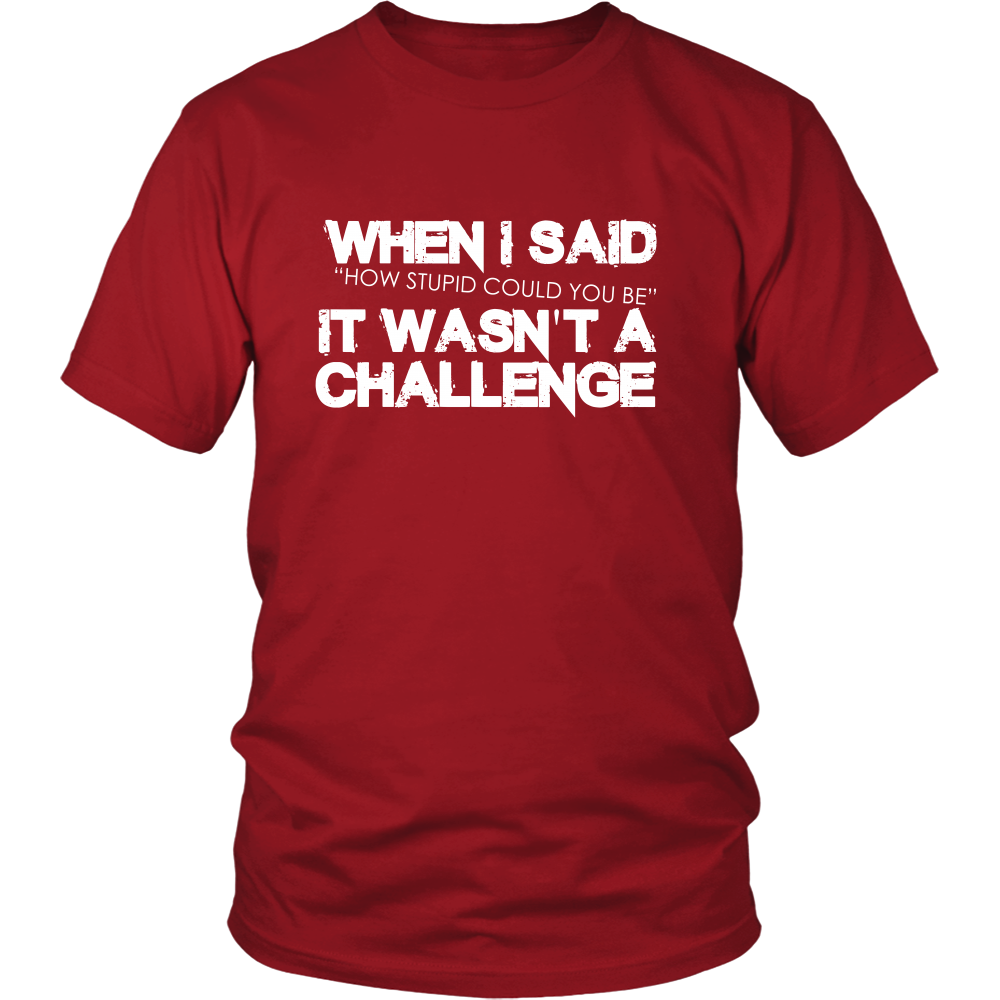 When I Said How Stupid Could You Be - It Wasn't a Challenge