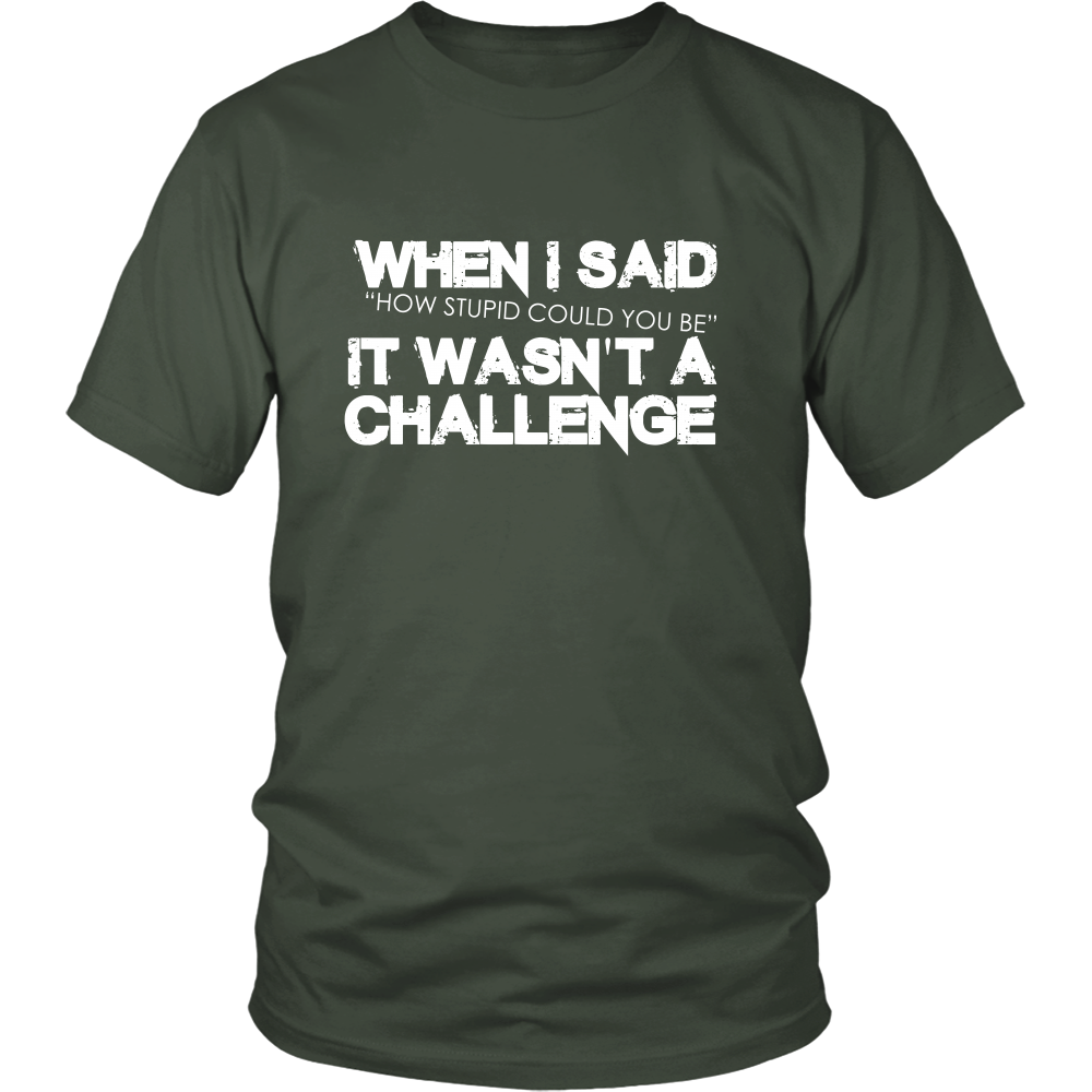 When I Said How Stupid Could You Be - It Wasn't a Challenge
