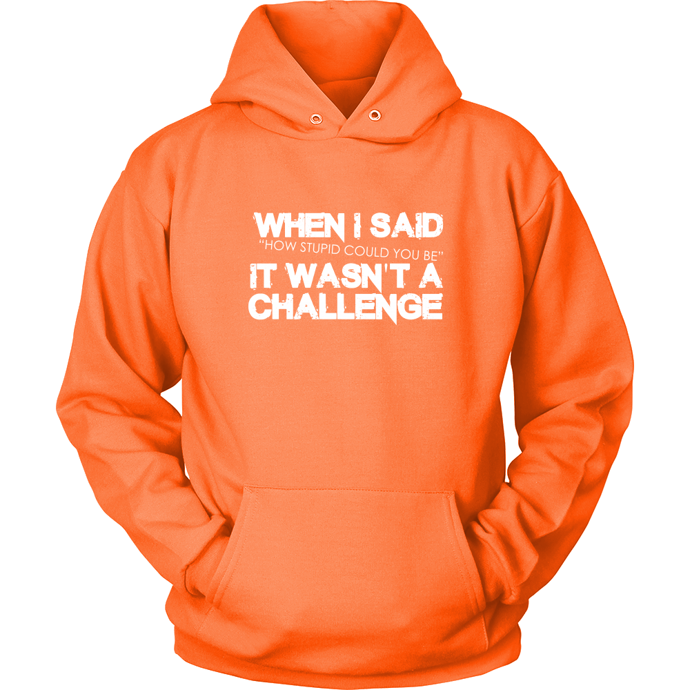 When I Said How Stupid Could You Be - It Wasn't a Challenge