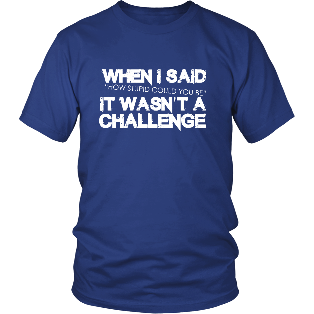 When I Said How Stupid Could You Be - It Wasn't a Challenge