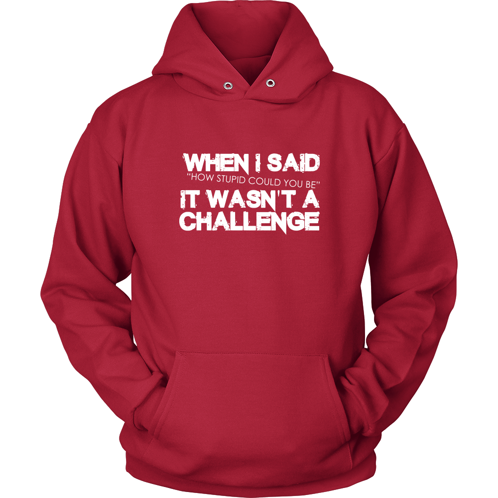 When I Said How Stupid Could You Be - It Wasn't a Challenge