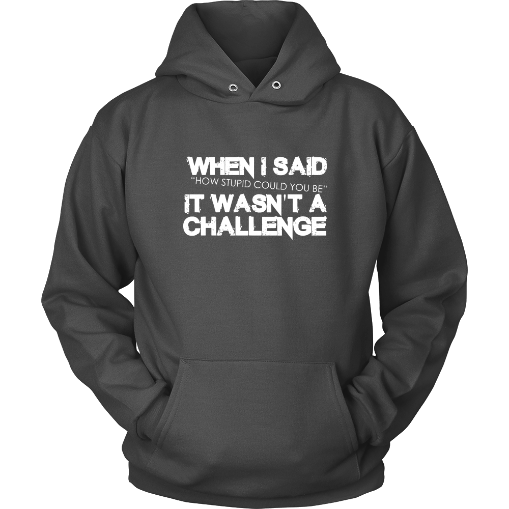 When I Said How Stupid Could You Be - It Wasn't a Challenge